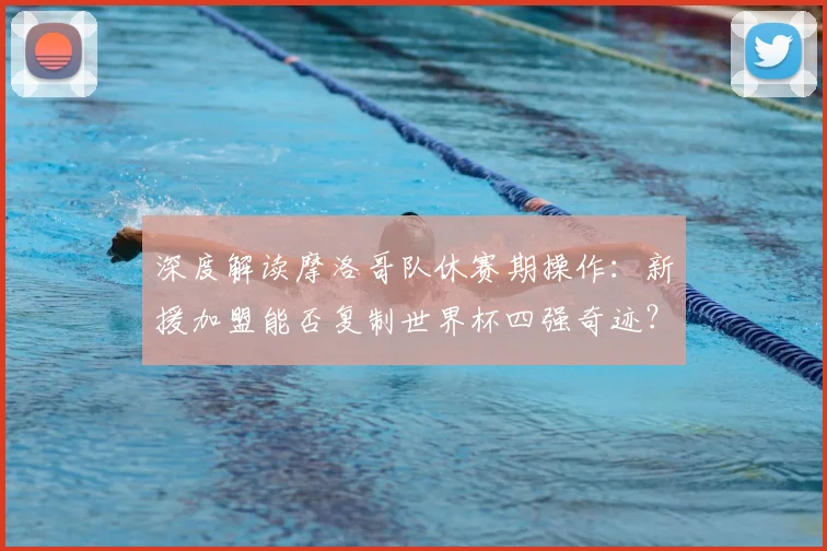 深度解读摩洛哥队休赛期操作：新援加盟能否复制世界杯四强奇迹？