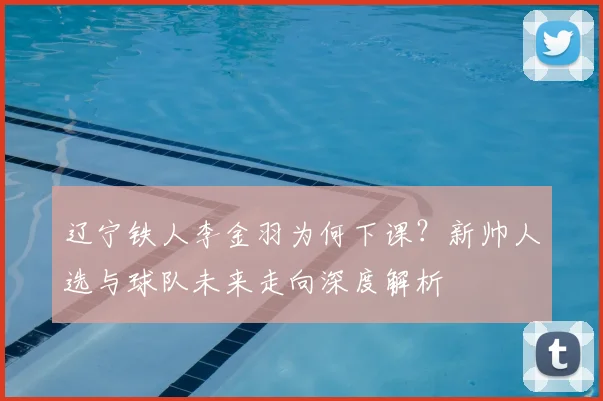 辽宁铁人李金羽为何下课？新帅人选与球队未来走向深度解析